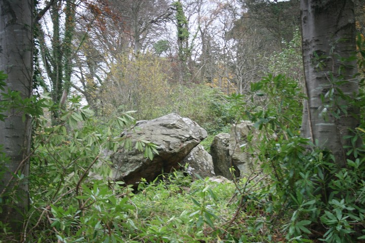 Howth Demesne (Portal Tomb) by postman