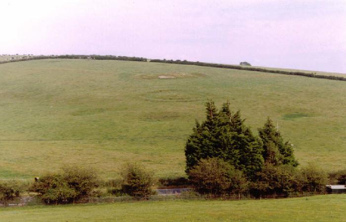 Winterbourne Poor Lot (Round Barrow(s)) by pure joy
