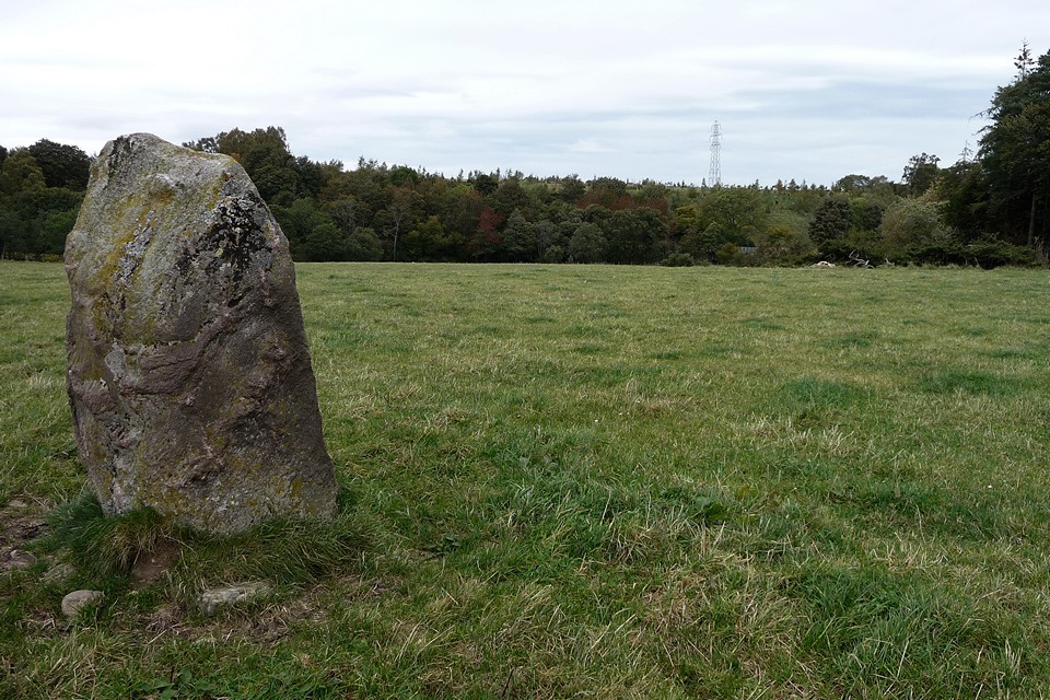 Mains of Clava NE (Standing Stone / Menhir) by thesweetcheat