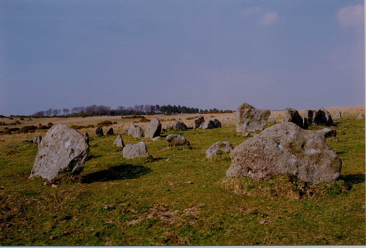 Yellowmead Multiple Stone Circle (Stone Circle) by GLADMAN