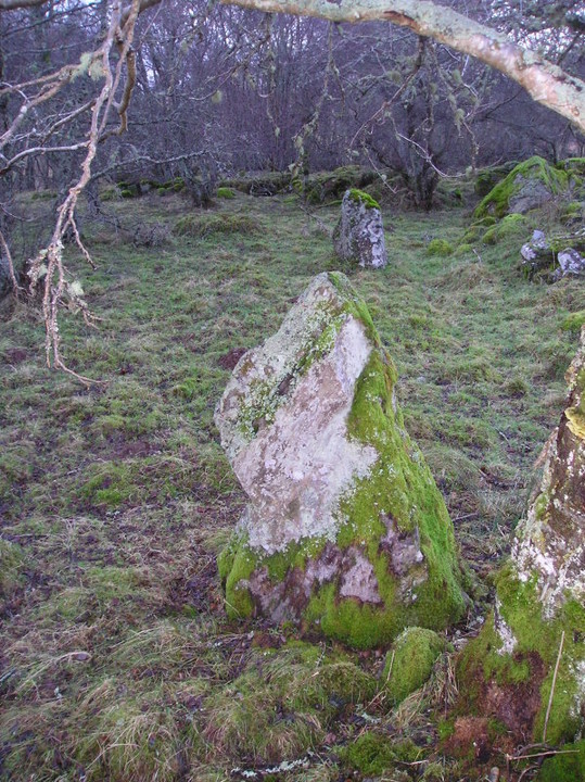 Dundonnachie (Standing Stones) by tiompan