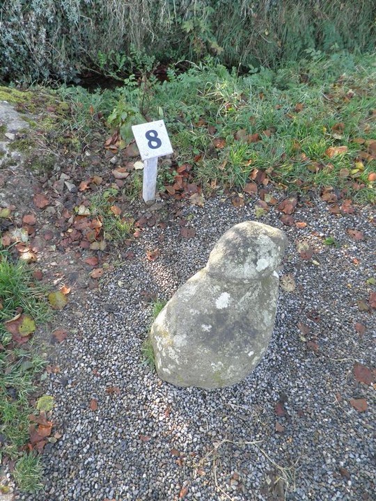 Faughart (Bullaun Stone) by bawn79