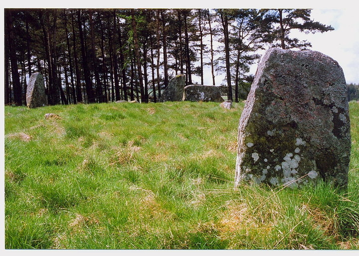 Tomnagorn (Stone Circle) by GLADMAN
