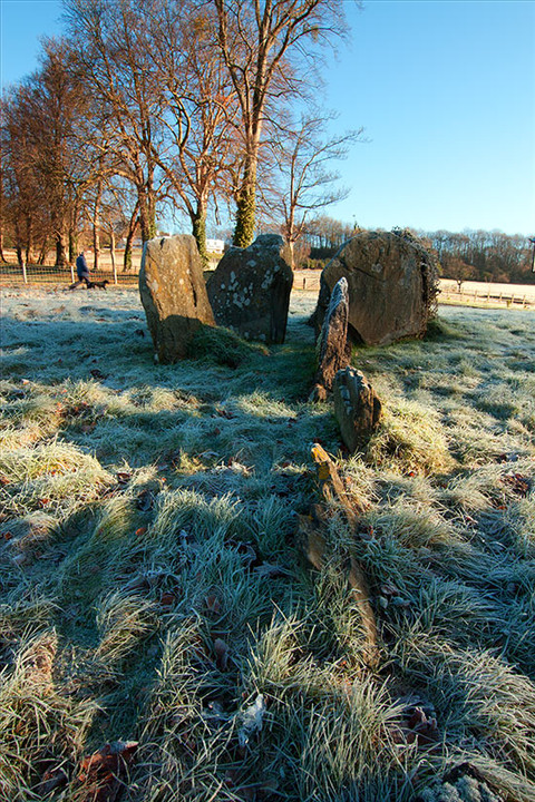 Gwernvale (Chambered Tomb) by cerrig