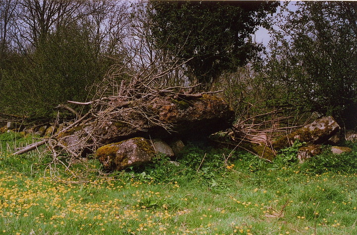 Coity Chambered Tomb (Chambered Tomb) by GLADMAN