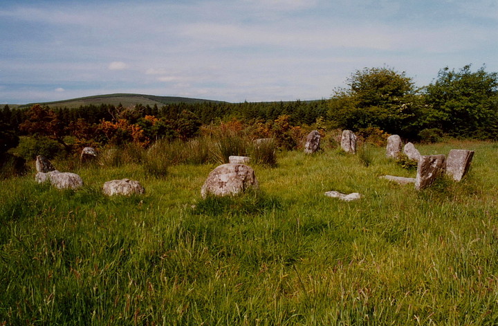 Carrigagulla (Stone Circle) by GLADMAN