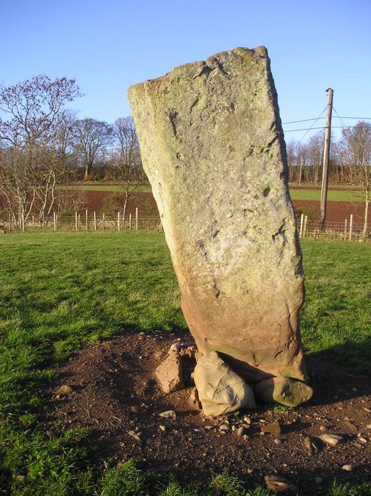 Airlie (Standing Stone / Menhir) by tiompan