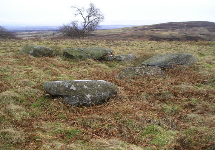 Tullybeagles Moor (Stone Circle) by tiompan