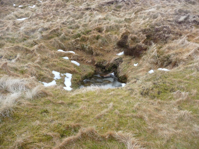 Tap o' Noth (Hillfort) by drewbhoy