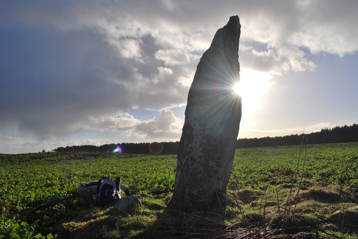 Camore Wood (Standing Stone / Menhir) by summerlands