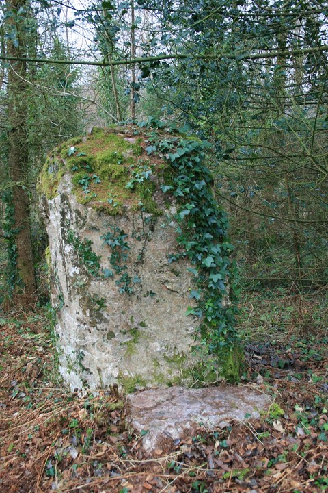 Plas Bodafon (Standing Stone / Menhir) by postman