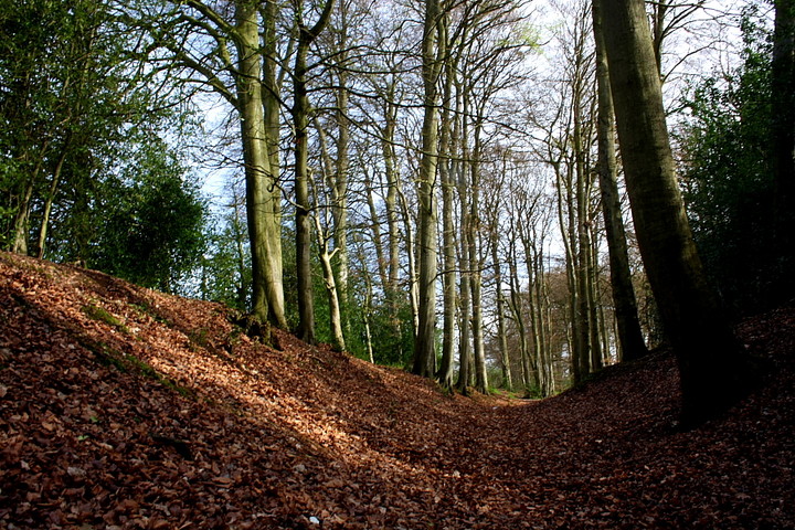Cholesbury Camp (Hillfort) by GLADMAN