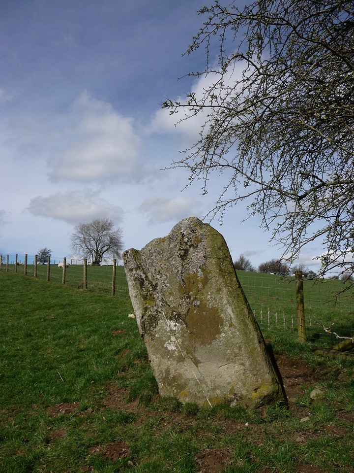 Carreg y Big (Selattyn) (Standing Stone / Menhir) by thesweetcheat