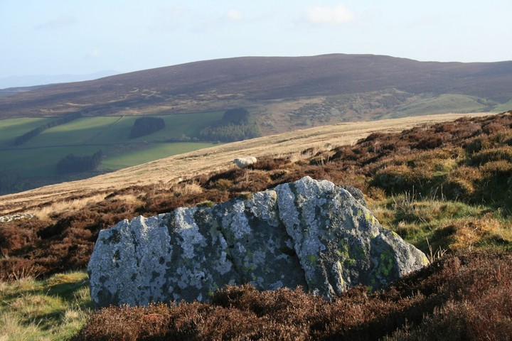 Moel Pearce (Standing Stone / Menhir) by postman