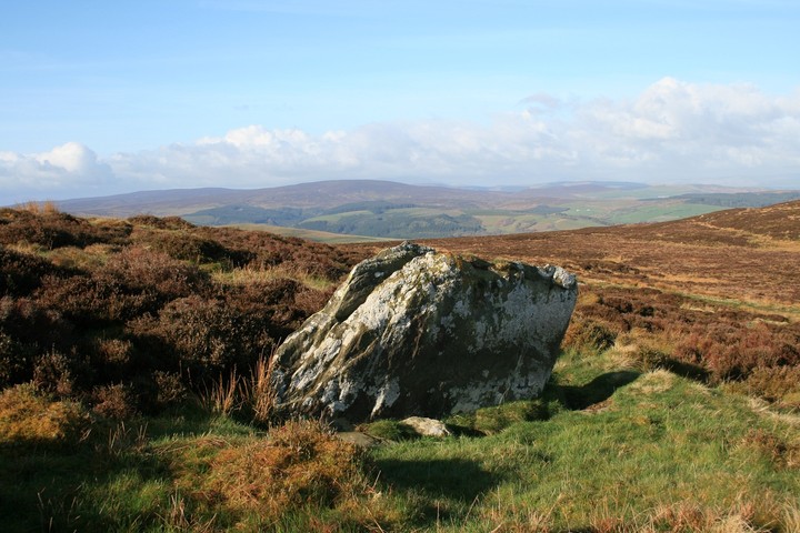 Moel Pearce (Standing Stone / Menhir) by postman