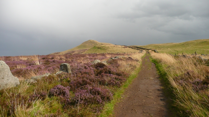 East Lomond (Hillfort) by thelonious