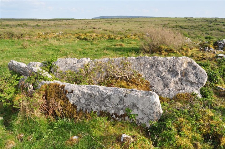 Ballyganner North II (Wedge Tomb) by bogman