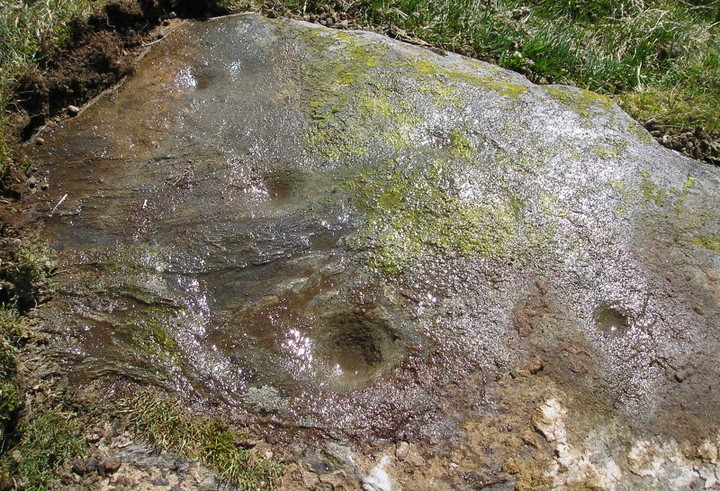 Wester Kinloch (Cup and Ring Marks / Rock Art) by tiompan