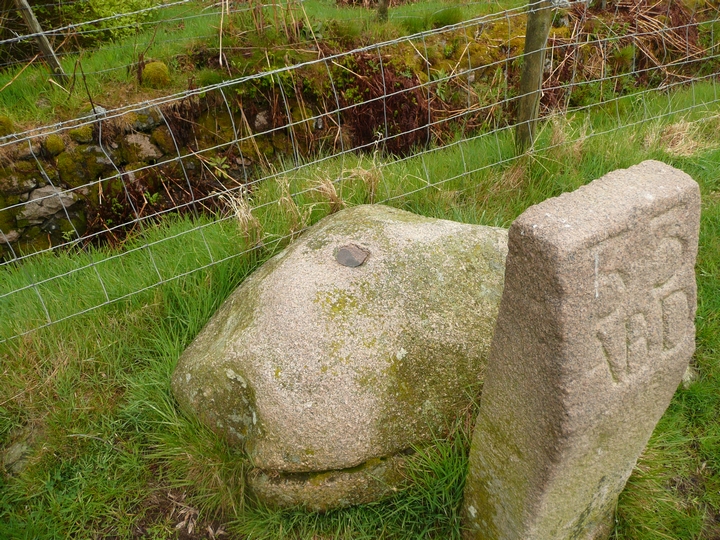 Tulloch Boundary Marker 33 (Cup and Ring Marks / Rock Art) by thelonious
