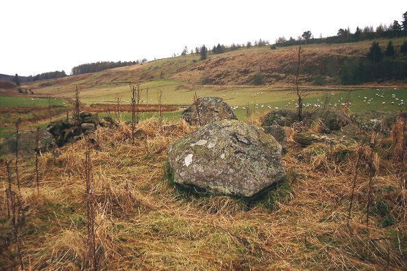 Glenballoch Stone Circle (Stone Circle) by nickbrand