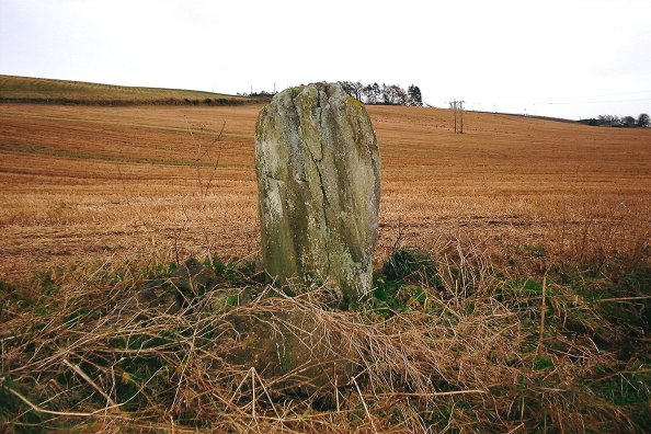 Drumend (Standing Stone / Menhir) by nickbrand