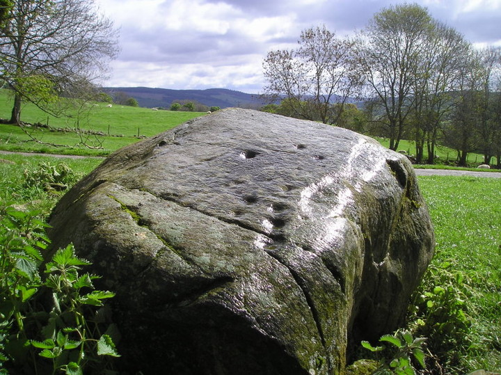 Lurgan Farm (Cup Marked Stone) by tiompan