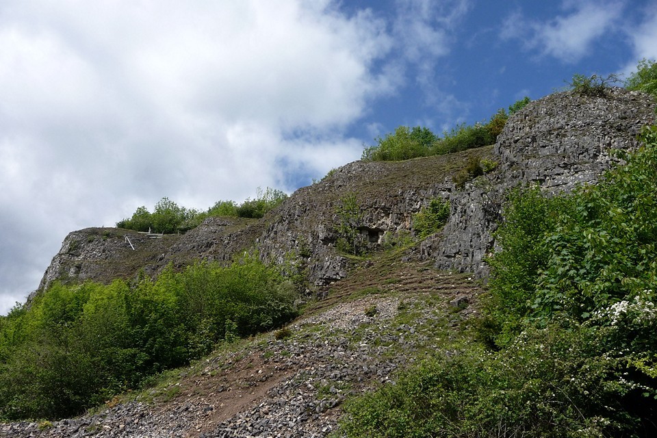 Llanymynech Hill (Ancient Mine / Quarry) by thesweetcheat