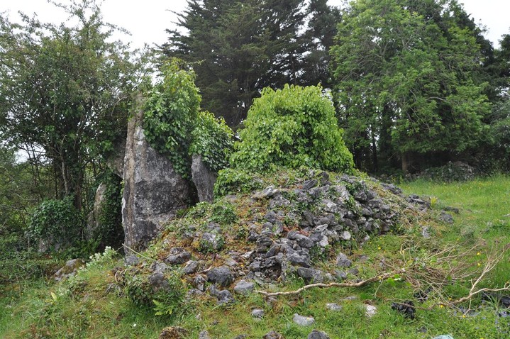 Moyree Commons (Portal Tomb) by bogman