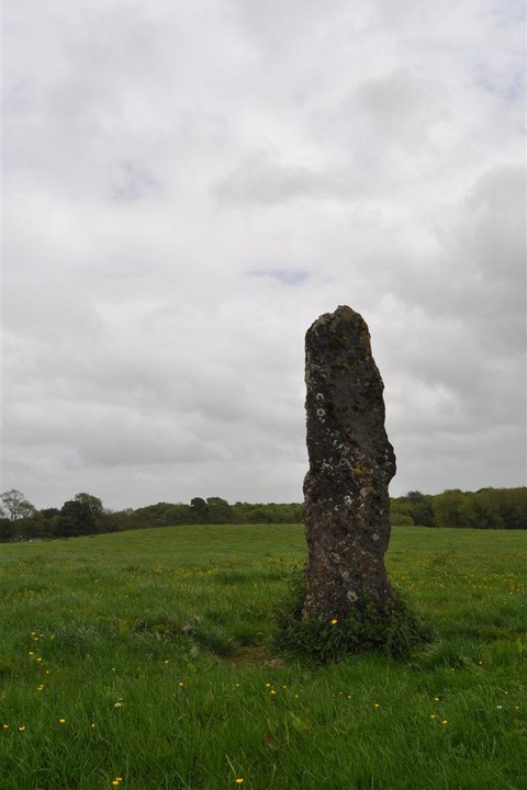 Tyredagh Lower (Standing Stone / Menhir) by bogman
