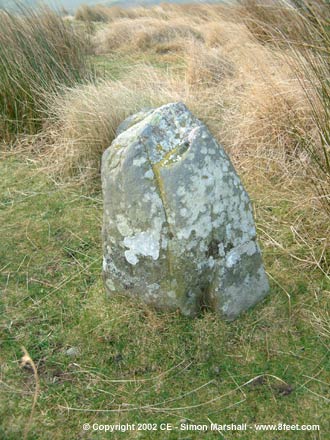Garn Lwyd Stone and Barrow Cemetery (Barrow / Cairn Cemetery) by Kammer