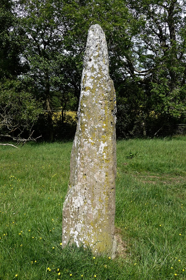 Wern Derys (Standing Stone / Menhir) by thesweetcheat