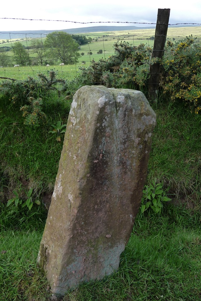 Mynydd Brith (Standing Stone / Menhir) by thesweetcheat