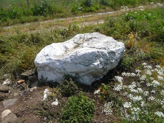 Auchmaliddie (Stone Circle) by drewbhoy