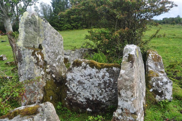 Drumhallagh Upper (Court Tomb) by bogman