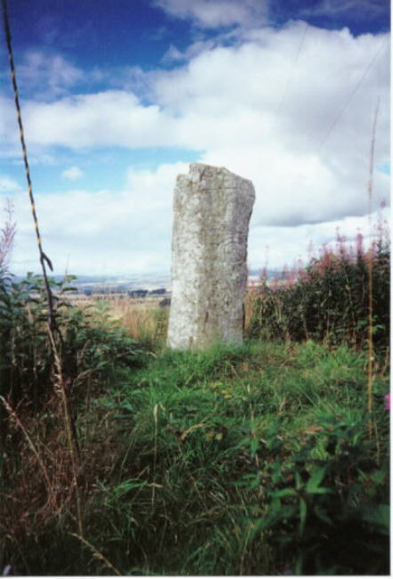 High Keillor Farm (Standing Stone / Menhir) by hamish