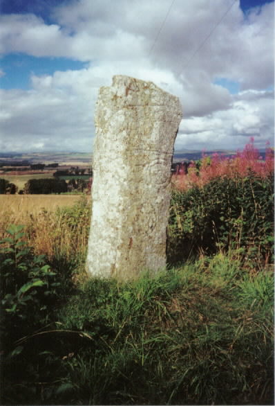 High Keillor Farm (Standing Stone / Menhir) by hamish