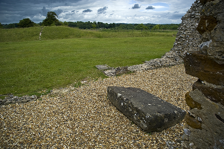 Knowlton Henges (Henge) by A R Cane