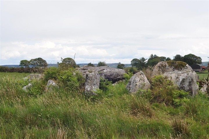Loughmacrory I (Wedge Tomb) by bogman