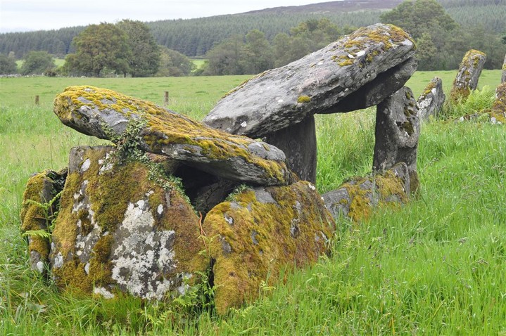 Ballyrenan (Portal Tomb) by bogman