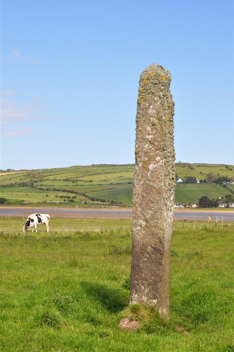 Carrowtrasna (Standing Stone / Menhir) by bogman
