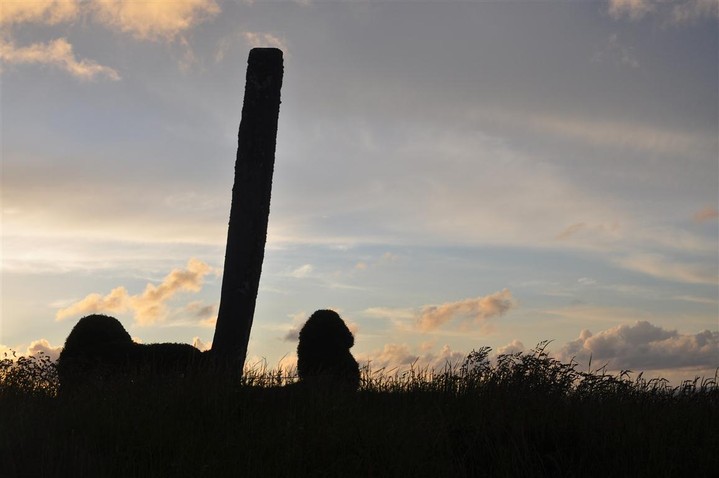 Doonfeeny cross pillar (Standing Stone / Menhir) by bogman