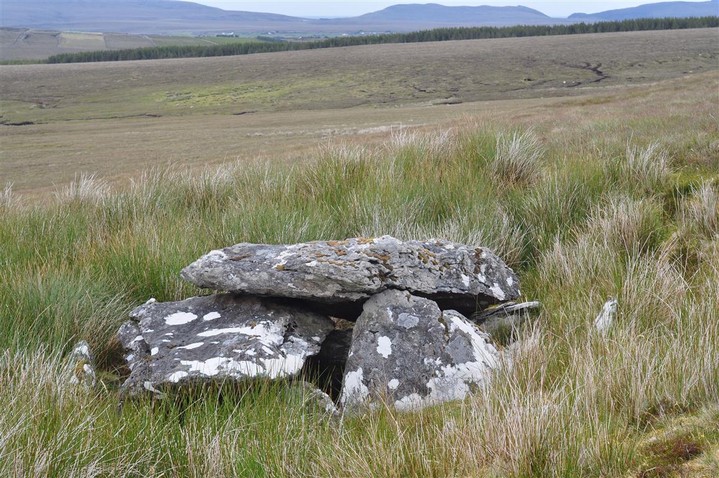 Fallagh North (Portal Tomb) by bogman