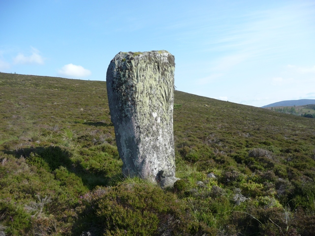 Luath's Stone (Standing Stone / Menhir) by drewbhoy