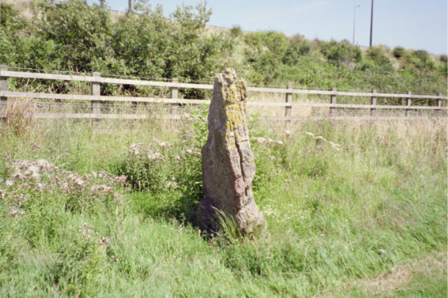 Llanfihangel Rogiet (Standing Stone / Menhir) by hamish