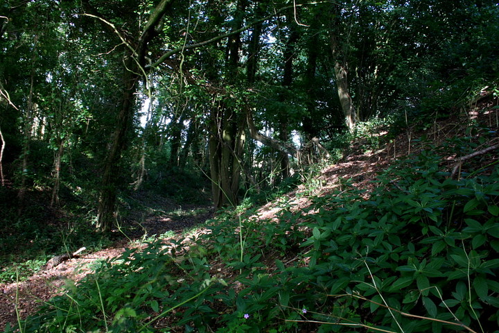 Weatherby Castle (Hillfort) by GLADMAN