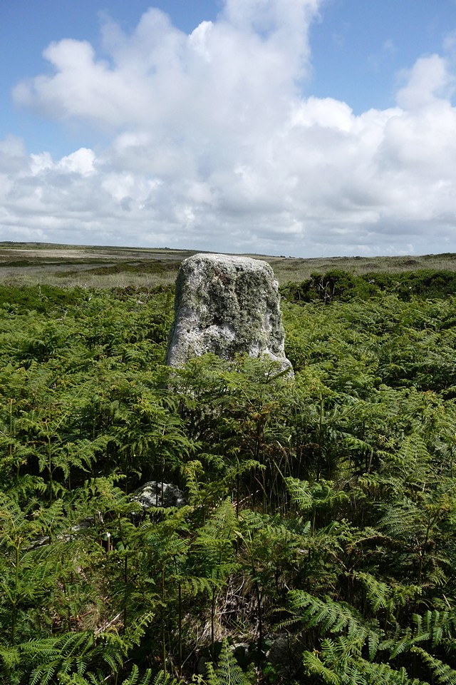 Porthmeor (Treen Common) (Stone Circle) by thesweetcheat