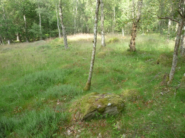 Findrassie Wood (Kerbed Cairn) by drewbhoy
