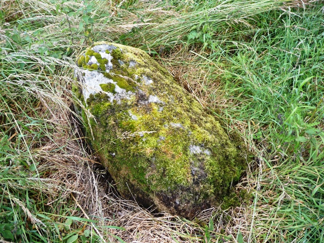 Standing Stones of Urquhart (Stone Circle) by drewbhoy