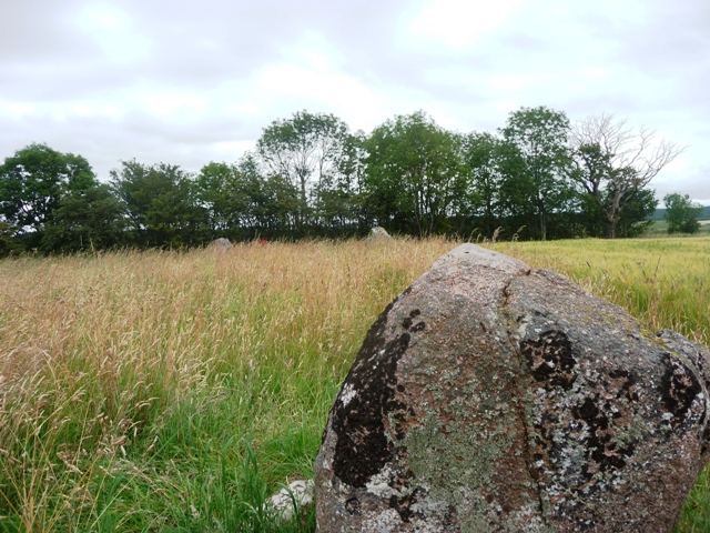 Standing Stones of Urquhart (Stone Circle) by drewbhoy