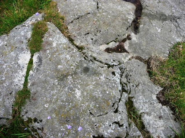 Easter Backlands Of Roseisle (Cup and Ring Marks / Rock Art) by drewbhoy